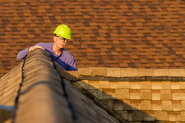Best Roof Gutter Cleaning  in Paynesville, MN
