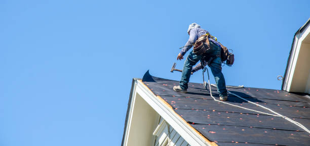 Best Commercial Roof Installation  in Paynesville, MN